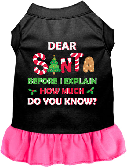 Black pet dress with pink skirt and 'Dear Santa' text