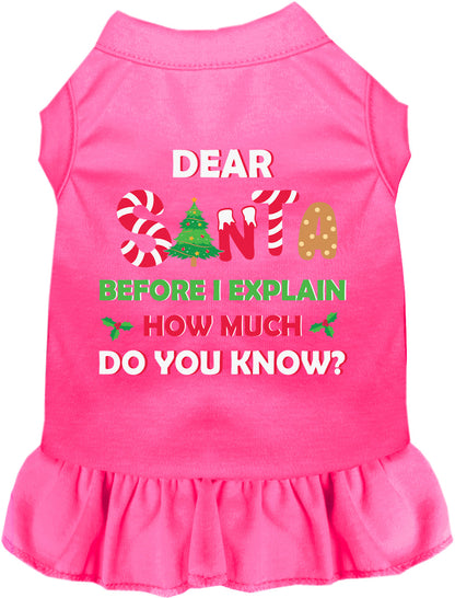 Bright pink pet dress with 'Dear Santa' festive text