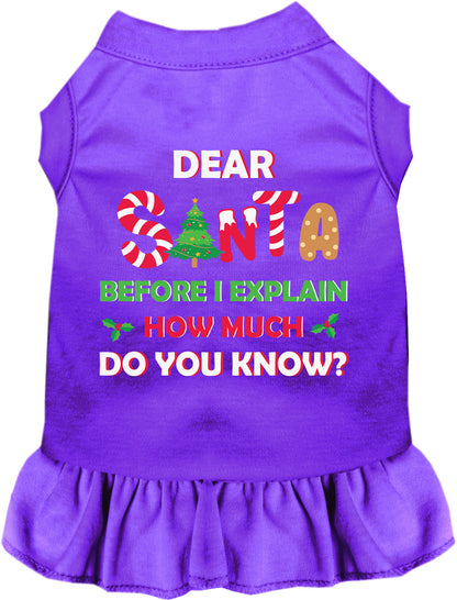 Purple pet dress with 'Dear Santa' festive text