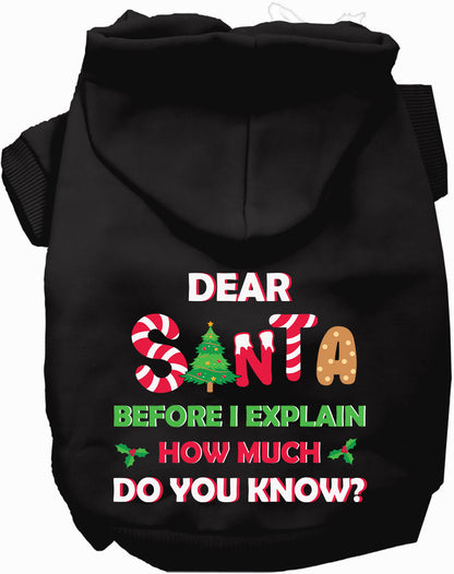 Black pet hoodie with Santa design