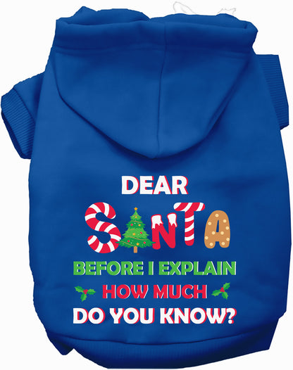 Blue pet hoodie with Santa design