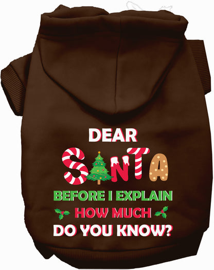 Brown pet hoodie with Santa design