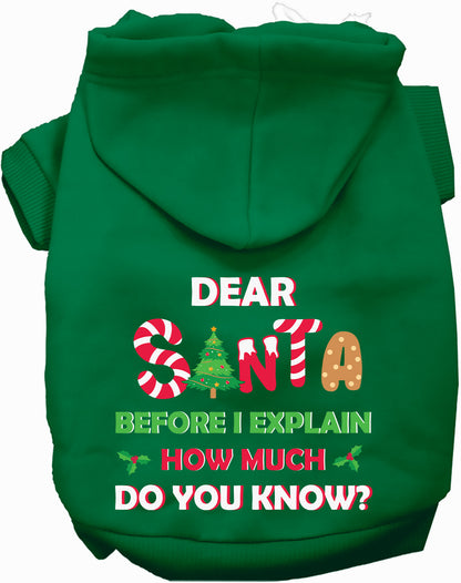 Green pet hoodie with Santa design