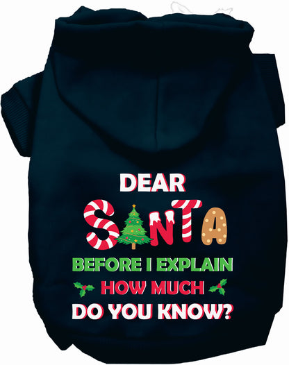 Navy pet hoodie with Santa design