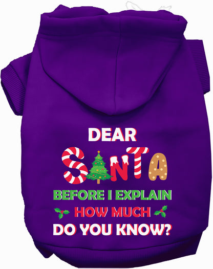 Purple pet hoodie with Santa design