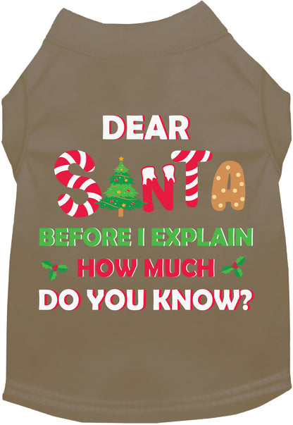 Gray pet shirt with 'Dear Santa' festive design