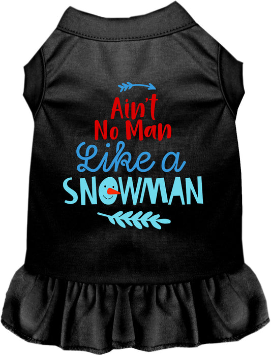 Ain't No Man Like a Snowman Pet Dress