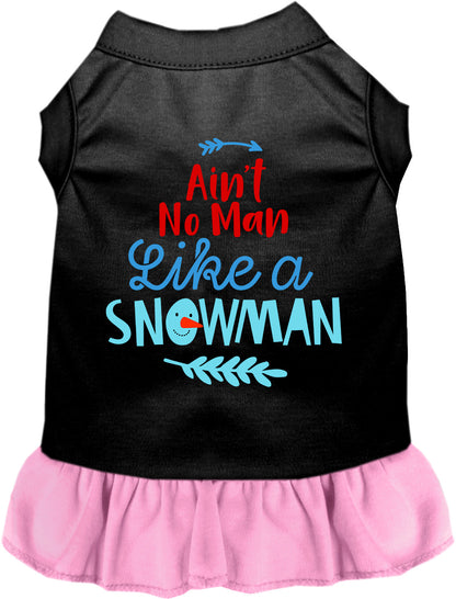 Ain't No Man Like a Snowman Pet Dress