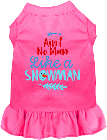 Ain't No Man Like a Snowman Pet Dress