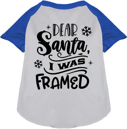 Blue sleeve pet raglan shirt with 'Dear Santa, I was Framed' text