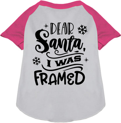 Pink sleeve pet raglan shirt with 'Dear Santa, I was Framed' text