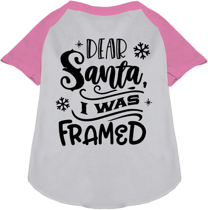 Light pink sleeve pet raglan shirt with 'Dear Santa, I was Framed' text