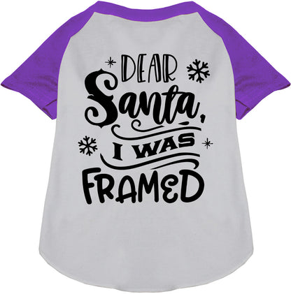 Purple sleeve pet raglan shirt with 'Dear Santa, I was Framed' text