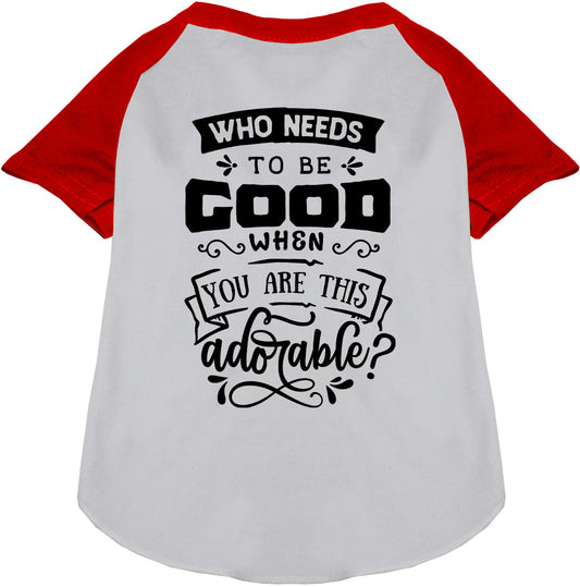 Red sleeve pet raglan shirt with 'Who Needs to be Good?'