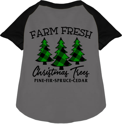 Farm Fresh Christmas Trees Pet Raglan Shirt