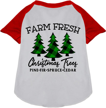 Farm Fresh Christmas Trees Pet Raglan Shirt