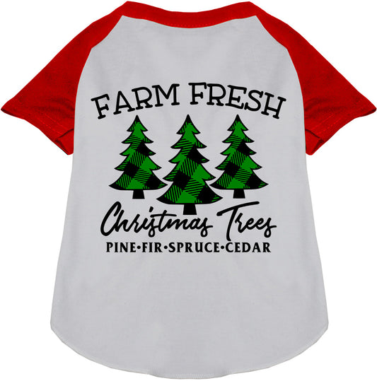 Farm Fresh Christmas Trees Pet Raglan Shirt