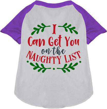 Purple sleeve pet raglan shirt with 'I Can Get You on the Naughty List' design