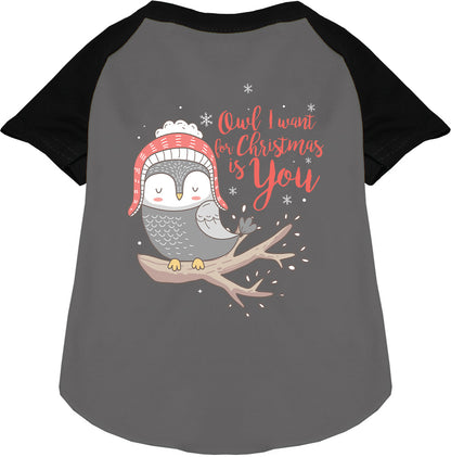 Owl I Want For Christmas Pet Raglan Shirt