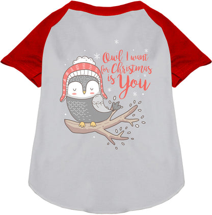 Owl I Want For Christmas Pet Raglan Shirt