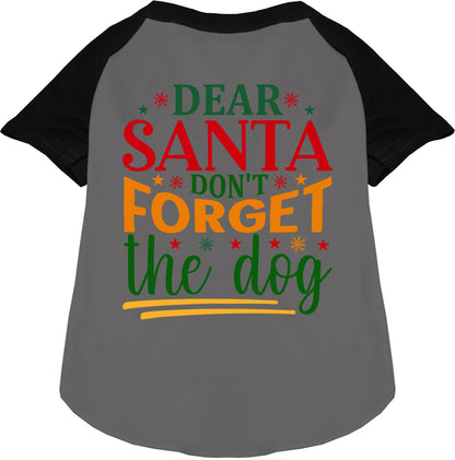 Don't Forget the Dog! Pet Raglan Shirt