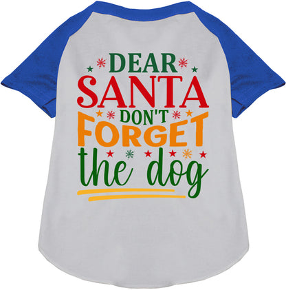 Don't Forget the Dog! Pet Raglan Shirt