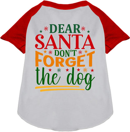 Don't Forget the Dog! Pet Raglan Shirt