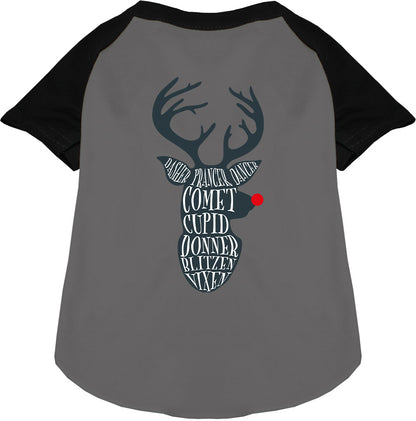 All Santa's Deer Pet Raglan Shirt