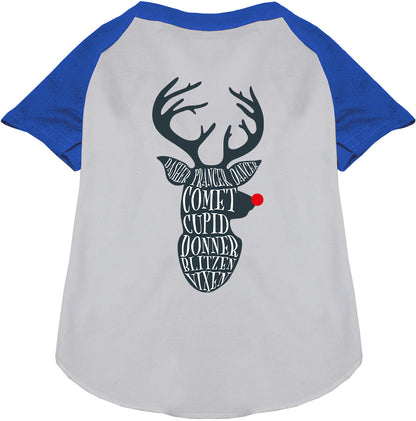 All Santa's Deer Pet Raglan Shirt