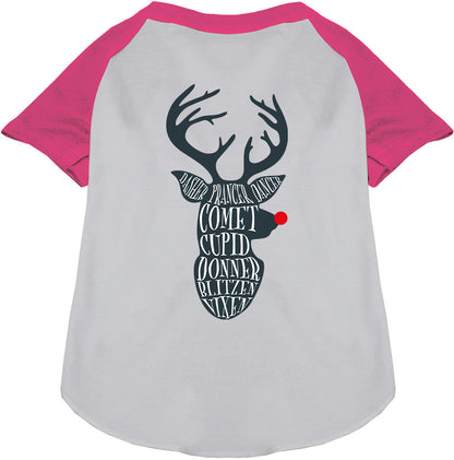 All Santa's Deer Pet Raglan Shirt