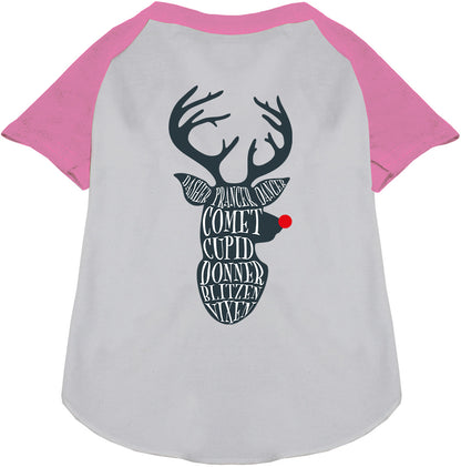 All Santa's Deer Pet Raglan Shirt