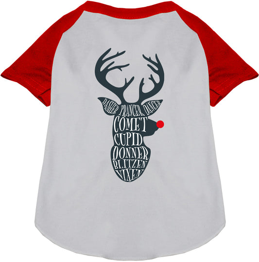 Red-sleeved Santa's Deer Pet Raglan Shirt