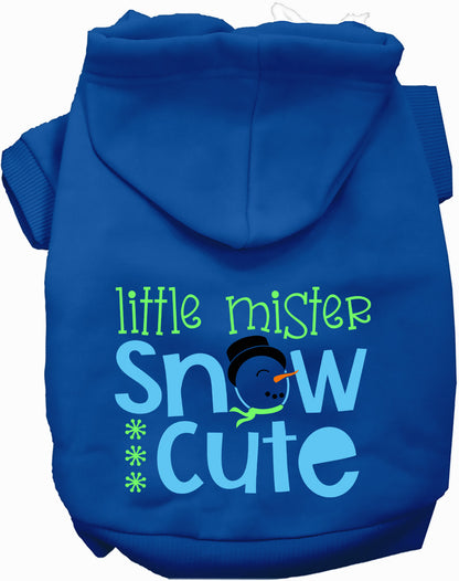 Blue Little Mister Snow Cute Pet Hoodie