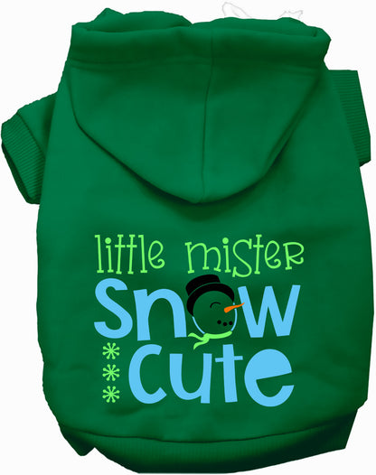 Green Little Mister Snow Cute Pet Hoodie