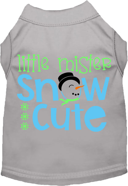 Gray Little Mister Snow Cute pet shirt