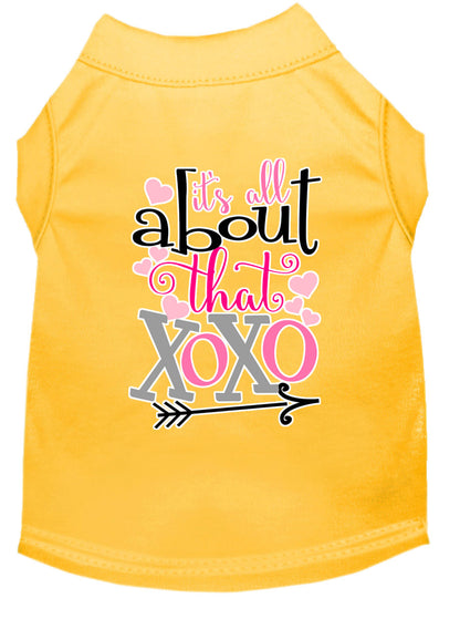 Camisa para perros y gatos con serigrafía, "All About That XOXO"