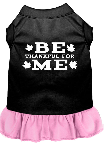 Vestido para perros y gatos serigrafiado, "Be Thankful For Me"