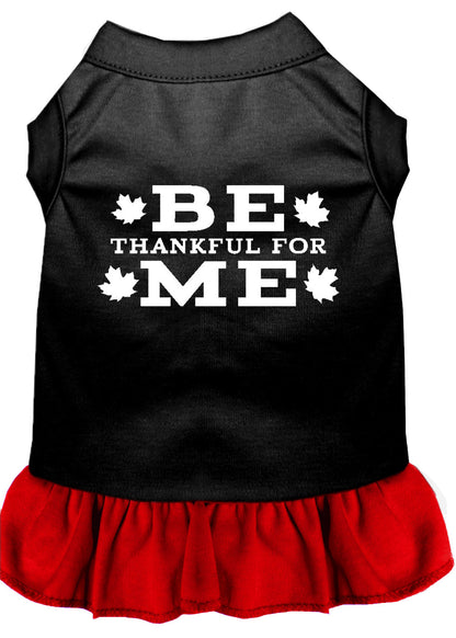 Vestido para perros y gatos serigrafiado, "Be Thankful For Me"