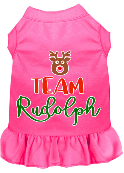 Vestido navideño para perros y gatos serigrafiado, "Equipo Rudolph"