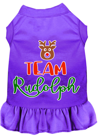 Vestido navideño para perros y gatos serigrafiado, "Equipo Rudolph"