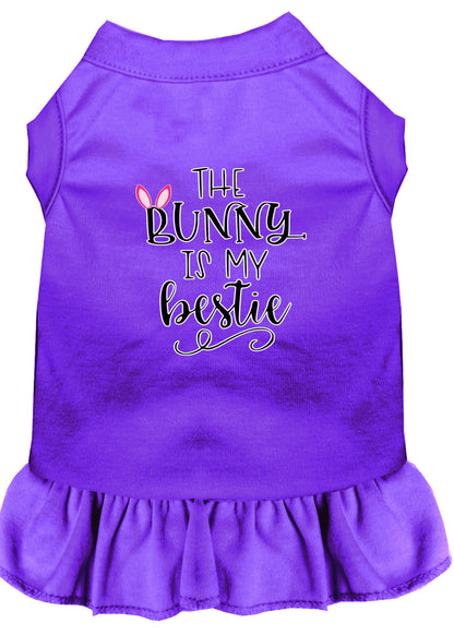 Vestido para perros y gatos serigrafiado, "The Bunny Is My Bestie"