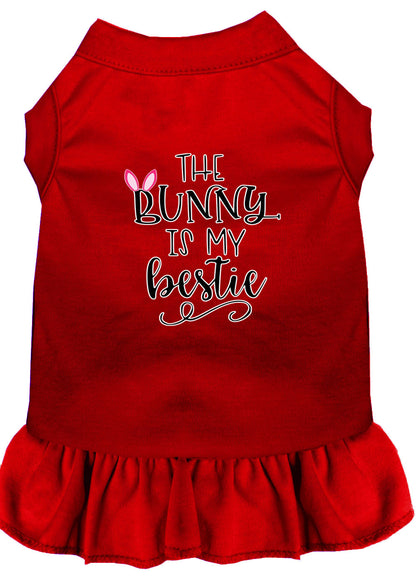 Vestido para perros y gatos serigrafiado, "The Bunny Is My Bestie"