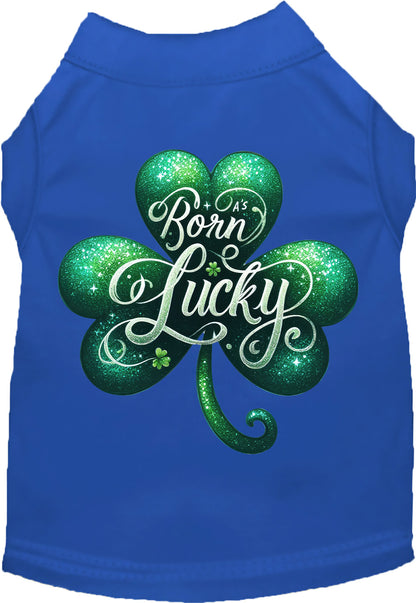 Adorable Cat or Dog Shirt for Pets "A's Born Lucky"