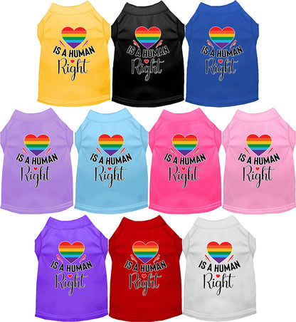 Pride pet shirts with 'Love is a Human Right' design