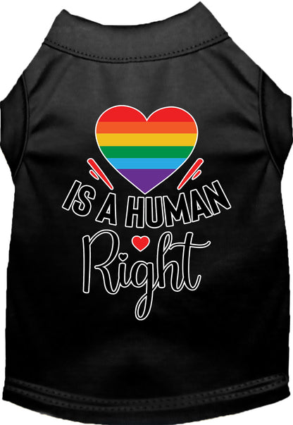 Pride Cat or Dog Shirt for Pets "Love is a Human Right"