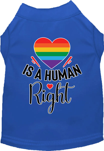 Pride Cat or Dog Shirt for Pets "Love is a Human Right"