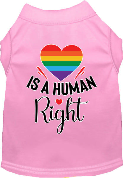 Pride Cat or Dog Shirt for Pets "Love is a Human Right"