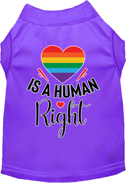 Pride Cat or Dog Shirt for Pets "Love is a Human Right"