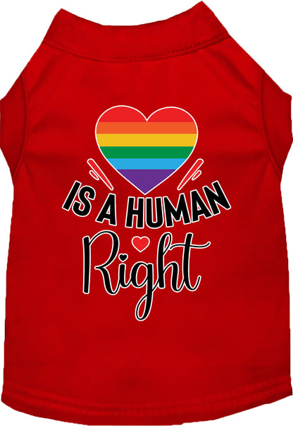 Pride Cat or Dog Shirt for Pets "Love is a Human Right"