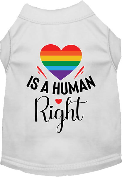 Pride Cat or Dog Shirt for Pets "Love is a Human Right"